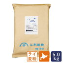 江別製粉 北海道産 細挽きライ麦 5kg ライ麦全粒粉 業務用 国産ライ麦粉_