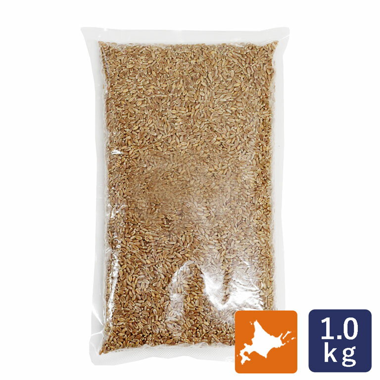 江別製粉 北海道産小麦粒 1kg_
