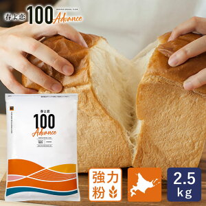 強力粉 春よ恋100Advance 北海道産パン用小麦粉 2.5kg 国産小麦粉 春よ恋100% ハロウィン