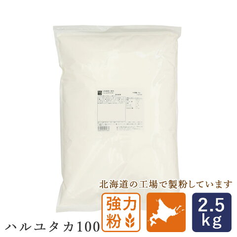 強力粉 北海道産小麦粉 ハルユタカ100 国産パン用小麦粉 2.5kg_ 国産小麦粉