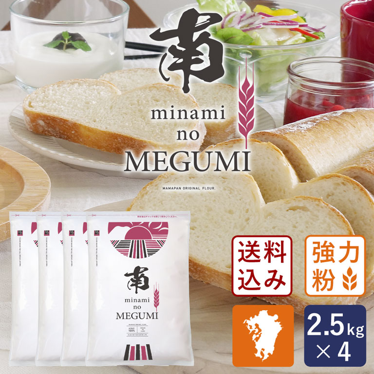 【1セット限定・200円OFF 11月27日AM9:59まで】【送料無料】南のめぐみ 2.5kg×4(10kg)まとめ買い チャック付き袋 強力粉 九州産パン用...