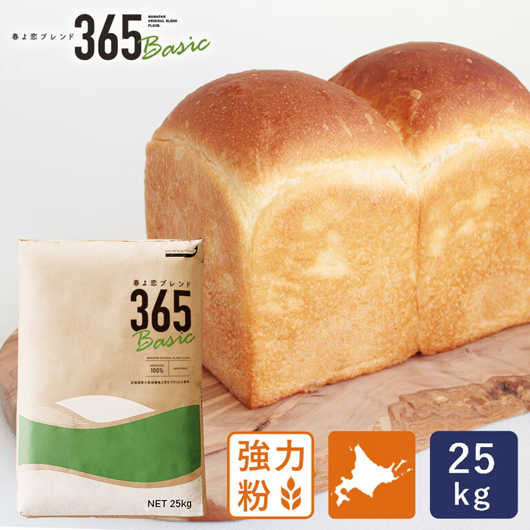 パン用粉 江別製粉 100％HOKKAIDO 500g【ゆうパケット便限定/送料込】 ポイント消化 楽天 2024 お取り寄せグルメ ギフト プレゼント 父の日