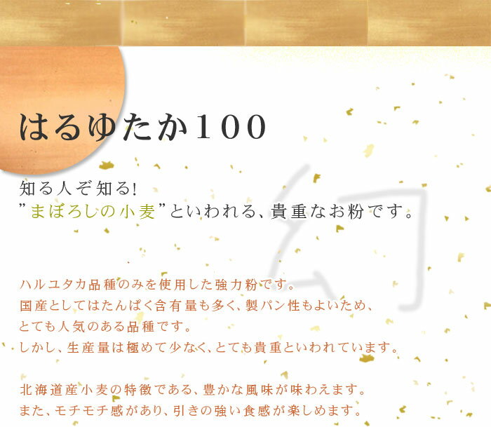 強力粉 復刻版はるゆたか100 北海道産パン用小麦粉 2.5kg_