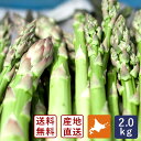美瑛産アスパラガス