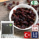 【2023年度産新物】有機JAS 有機トンプソンレーズン トルコ産 トンプソン種 1kg【宅急便コンパクト／送料無料】ドライフルーツ ノンオイル 干しぶどう オーガニック_パン作り お菓子作り 料理 手作り スイーツ こどもの日 母の日