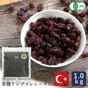 有機JAS 有機トンプソンレーズン 1kg トルコ産 トンプソン種 ドライフルーツ ノンオイル 干しぶどう_パン作り お菓子作り 料理 手作り 春 新生活