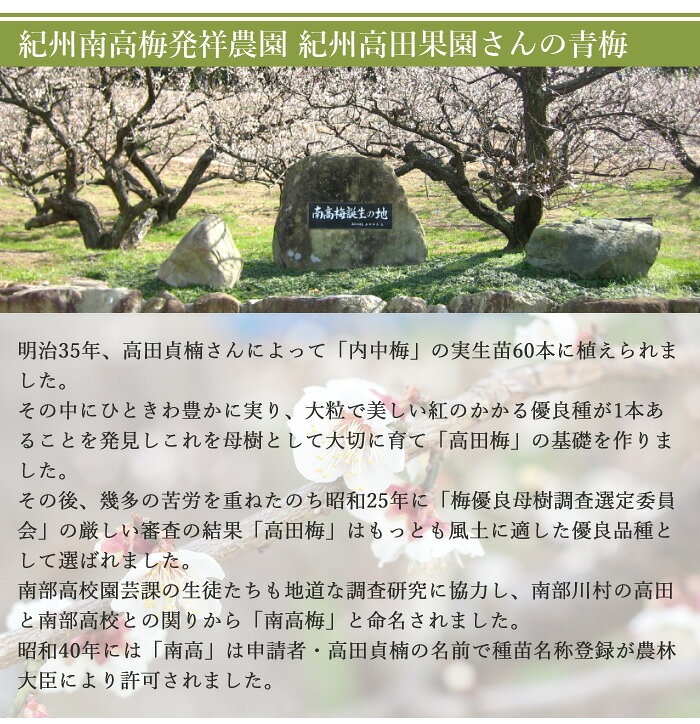 紀州高田果園 昔ながらのしそ梅干ペースト 150g 有機JAS オーガニック_ mamapan-10009562 ママパン サンプル画像2