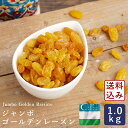 ジャンボゴールデンレーズン 1kg_ パン作り お菓子作り 料理 手作り スイーツ こどもの日 母の日