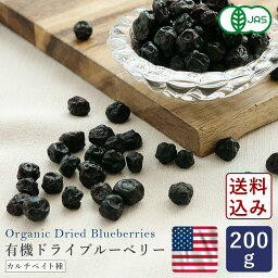 有機JAS 有機ドライブルーベリー 200g_【ゆうパケット／送料無料】 アメリカ産 カルチベイト種 ドライフルーツ オーガニック パン作り お菓子作り 料理 手作り 春 新生活