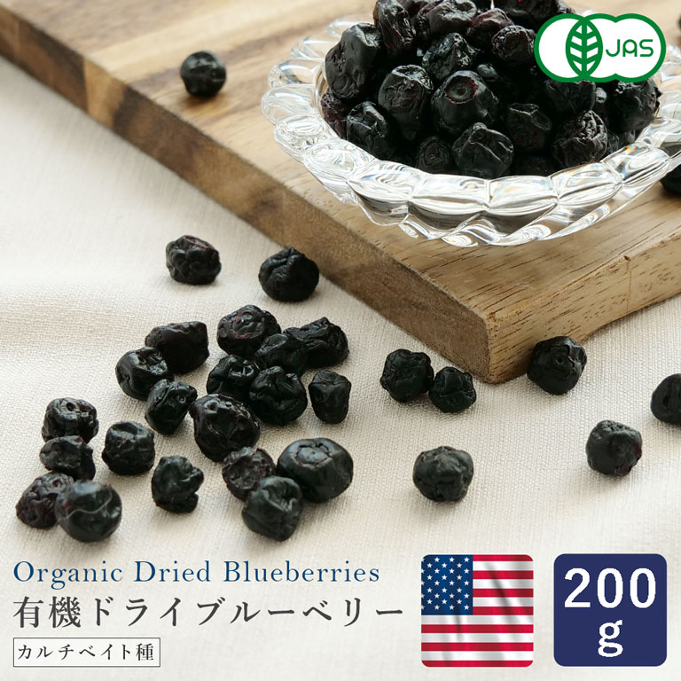 ワイルドブルーベリー800g【ドライフルーツ】【送料無料】