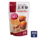 玄米粉 グルテンフリー玄米粉 熊本製粉 300g_