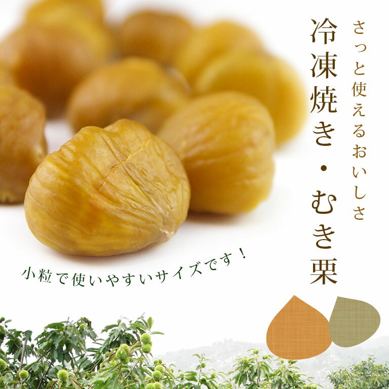 冷凍食品 冷凍焼きむき栗 500g マロン_