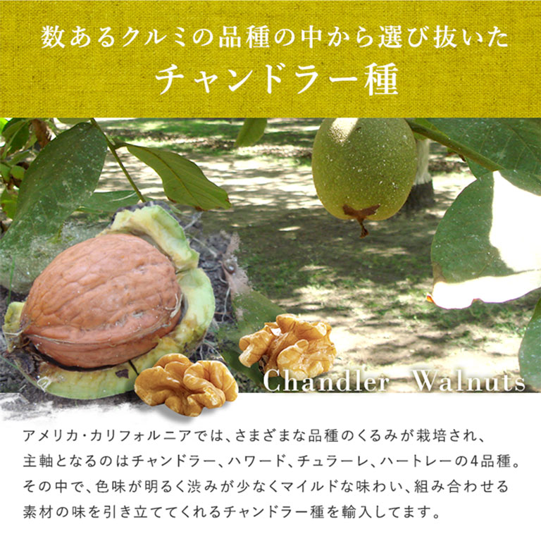 【温湿度管理で品質を守る】ママパン 有機クルミ LHP 生 1kg カリフォルニア産 チャンドラー種 くるみ 胡桃 有機JAS オーガニック_ mamapan-10006170 ママパン サンプル画像3