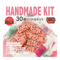 バレンタイン 30個作れるキット サクサクいちごチョコバー ミントスタイル 1セット 手作りキット チョコレート 季節限定_おうち時間 パン作り お菓子作り 手作り パン材料 お菓子材料 ポイント消化