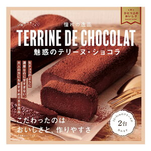 バレンタイン おうちで手作りキット 濃厚テリーヌ・ショコラ ミントスタイル 1セット チョコケーキ チョコレート 季節限定_スーパーセール