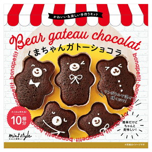 バレンタイン 可愛いキット くまちゃんガトーショコラ ミントスタイル 1セット 手作りキット チョコレート_ 季節限定