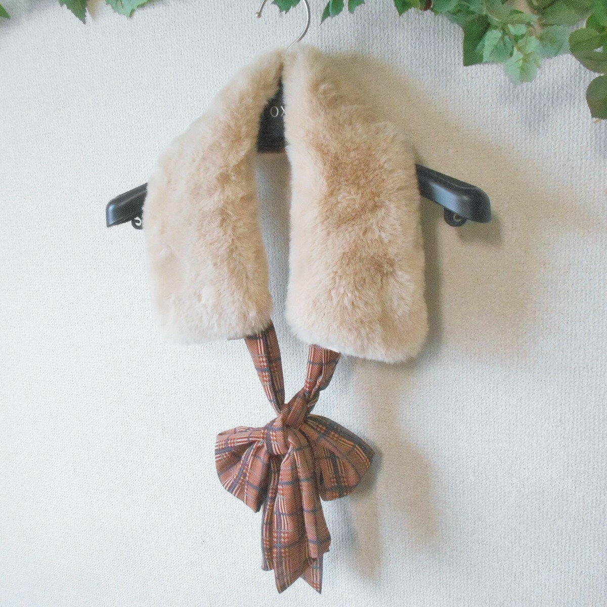 ����šۥ�꡼�֥饦�� Lily Brown �ƥ��ڥå� �ե������ե��� �ޥե顼 �դ��� �ؤ��� ��ǥ����� F