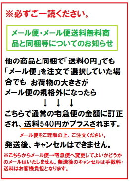 ホットビスケッツ くるま＆リボン☆ハイソックス ミキハウス 靴下 (9cm-19cm)