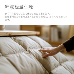 割引1000円クーポン★西川こたつ布団長方形羽毛こたつ掛け布団210×250cm抗菌加工ウォッシャブル洗えるホワイトダウン天板が普通