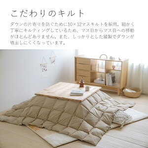 割引1000円クーポン★西川こたつ布団長方形羽毛こたつ掛け布団210×250cm抗菌加工ウォッシャブル洗えるホワイトダウン天板が普通