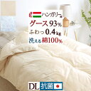 7/18限定★11%OFFクーポン 羽毛肌掛け布団 ダブル グース93% ダウンケット 日本製 洗える 夏用 羽毛ふとん 綿100% 生地 羽毛布団 ハンガリー産グースダウン93% 0.4kg ロマンス小杉 抗菌 花粉 防ダニ 肌ふとん 羽毛ふとん ウォッシャブル 丸洗い