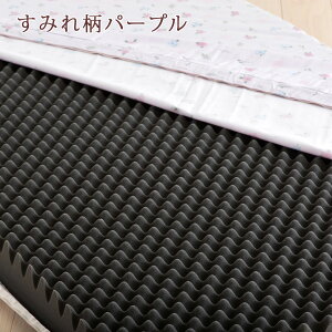【ポイント10倍】シーツ等特典付健康敷き布団ダブル西川BISEIビセイ日本製90ミリ155ニュートンダブル防ダニ敷布団