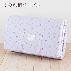 【ポイント10倍】シーツ等特典付健康敷き布団ダブル西川BISEIビセイ日本製厚さ90ミリ160ニュートン防ダニ