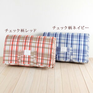 春得1000円クーポン★【ポイント10倍】洗える側生地AG加工防ダニ東京西川リビング健康敷布団BISEI(ビセイ)厚さ90ミリ155Nワイド97cm長さ200cmロング1枚もの日本製シングル
