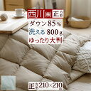 夏!早得★最大5,000円クーポン 西川 羽毛こたつ掛布団 洗える 正方形 210×210cm こたつ布団 ホワイトダウン85％ 0.8kg 抗菌 ウォッシャブル 洗える こたつ掛け布団 大判サイズ 適用天板サイズ80×80cm～90×90cm 炬燵布団 無地 ゆったりの商品画像