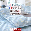 9/18限定★11%OFFクーポン 羽毛肌掛け布団 小さいサイズ 子供用 ダウンケット 夏用 洗える 日本製 羽毛ふとん 綿混生地 0.25kg フランス産ダウ...