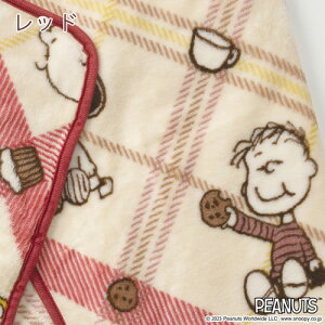 スヌーピーひざかけ毛布snoopyスヌーピーぬいぐるみ西川東京西川リビングやわらかひざ掛け西川リビングひざ掛け毛布ひざかけキャラクターお昼寝にも子供用プレゼント