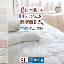 9/18限定★11%OFFクーポン 羽毛肌掛け布団 シングル ダウンケット ロマンス小杉 日本製 『超増量0.5kg』 肌掛けふとん 羽毛ふとん 夏用 洗える ...