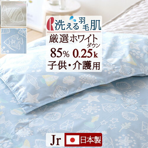 全品P5＆クーポン★30日16時～...