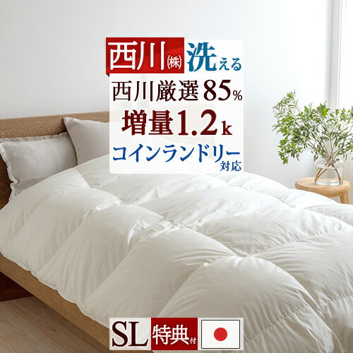 Ķ̡ܶ15OFFݥP10  󥰥     ɥꥨ ɥ꡼б  1.2kg ݤ Ȥ 󥰥륵...