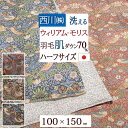 全品P5&クーポン★GW限定〜6日迄 ウイリアムモリス 羽毛肌掛け布団 ハーフ 150×100cm 西川 夏用 洗える 羽毛ふとん いちご泥棒 ダウン70% 0...