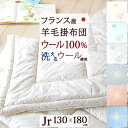 マラソン★最大1万円OFFクーポン 掛け布団 ジュニア 日本製 羊毛100% 掛けふとん 洗える ウール 側生地 綿100% ウォッシャブル ハリネズミ きら星 かわいい 掛布団 130×180cm ジュニアサイズ