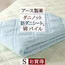 夏!早得★最大5,000円クーポン 敷きパッド シングル 防ダニ ダニエスケープ タオル地 敷きパット 敷パッド ウォッシャブル 丸洗いOK ベッドパッド アース製薬 ダニノット