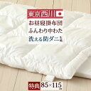 徹底値下げSALE★380円引 [プレゼント付き]【西川産業 お昼寝布団 掛け布団 日本製】洗濯機で丸洗いOK！幼稚園・保育園に最適！洗えるお昼寝掛布団『85×115』/おひるねふとんかけ こどもお昼寝　東京西川