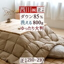 さぁ!春活★最大5,000円クーポン 西川 羽毛こたつ掛布団 洗える 正方形 210×210cm こたつ布団 ホワイトダウン85％ 0.8kg 抗菌 ウォッシャブル 洗える こたつ掛け布団 大判サイズ 適用天板サイズ80×80cm～90×90cm 炬燵布団 無地 ゆったりの商品画像