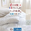 さぁ!春活★最大5,000円クーポン 羽毛布団 セミダブル 夏用 ダウンケット ロマンス小杉 日本製 肌掛け布団 洗える フランス産ダウン85％ 0.35kg ダニプルーフ 花粉フリー 抗菌防臭 薄手 羽毛肌掛け布団 セミダブルロングサイズ 夏 丸洗い 肌