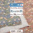 夏!早得★最大5,000円クーポン ウイリアムモリス 羽毛肌掛け布団 ハーフ 150×100cm 西川 夏用 洗える いちご泥棒 ダウン70% 0.1kg ウィリアムモリス ダウンケット 肌掛布団 肌ふとん 日本製 ウォッシャブル 洗濯OK 東京西川 西川産業