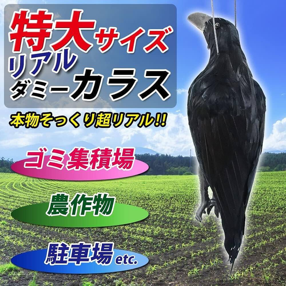 カラスよけ 特大 鳥よけグッズ 本物そっくり リアル羽毛カラス ぶら下げて吊るすだけ カラス撃退 リアル ダミー 本物そっくり 羽毛 撃退 吊るすだけ 43cm カラス対策