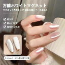 万能ホワイトマグネットジェル マグネットネイル ホワイト ホワイトマグネットジェル マグネットジェル 微粒子 微粒子マグネットジェル カラージェル ジェルネイル クリアカラー ポリッシュ ネイルジェル アートジェル ジェルネイル用品 カラージェルネイル