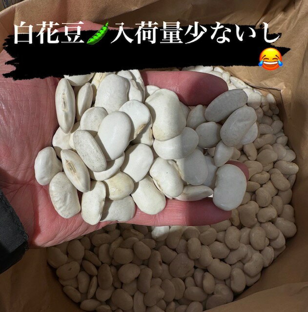 【クーポン配布中】スタンドパック雑穀シリーズ GABA雑穀米 230g 8入 Z01-048