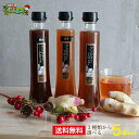 お歳暮 御歳暮 送料無料 ギフト プレゼント 健康 ジンジャーシロップ 200ml 3本箱入りセット 国産 月40本の限定生産 無添加 無着色 クール便は後ほど別途追加 母の日 敬老の日 ギフトに最適 web物産展