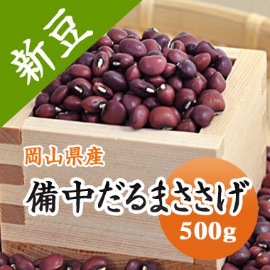 ささげ ささげ豆 岡山県産 備中だるまささげ 高級ささげ 500g 【令和6年産】