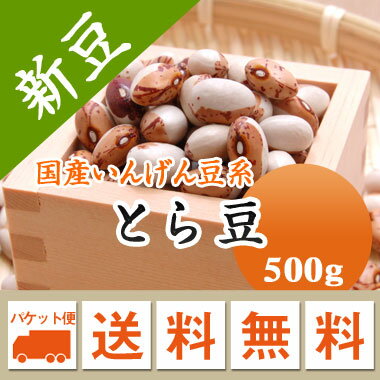とら豆 虎豆 北海道産 500g【令和6年産】 メール便 送料無料　数量限定