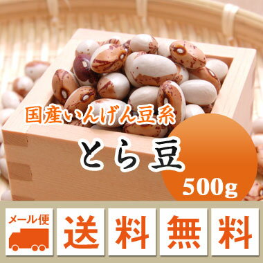 とら豆北海道産500g【令和3年産】メール便送料無料