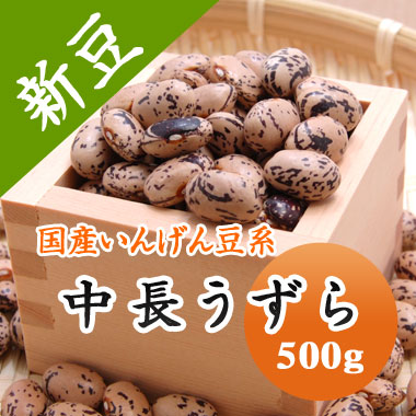 中長うずら うずら豆 北海道産 500g【令和6年産】