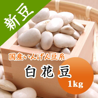 白花豆 しろはな豆 北海道産 1kg【令和5年産】